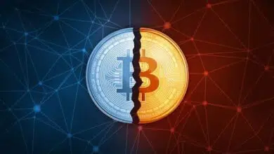 halving de bitcoin hashrate bloque 630000 mineria de bitcoin minar el salvador energia volcanica
