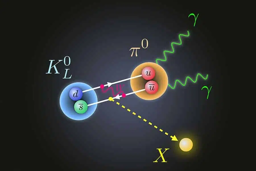 La descomposición del Kaon podría generar una nueva física