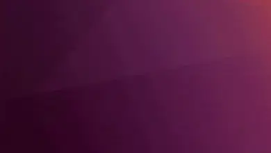 ubuntu 20.04 lts focal fossa