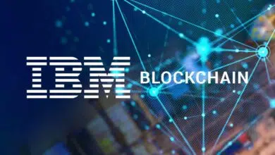 IBM solucion blockchain desarrollo we trade