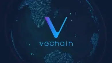 vechain blockchain alipay soluciones