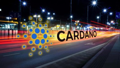 Cardano-ADA-hyperledger-IOHK-asosiacion
