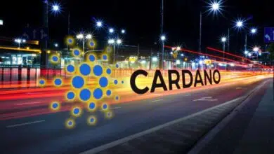 Cardano-ADA-hyperledger-IOHK-asosiacion