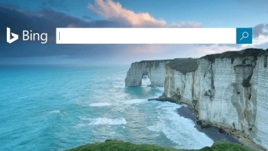 bing google