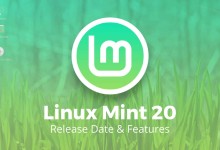 linux mint 20