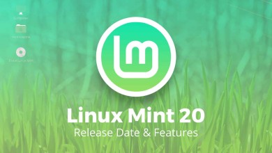 linux mint 20