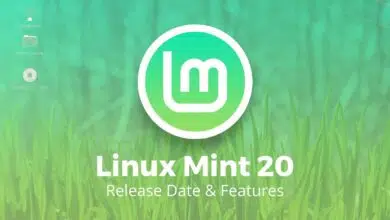 linux mint 20