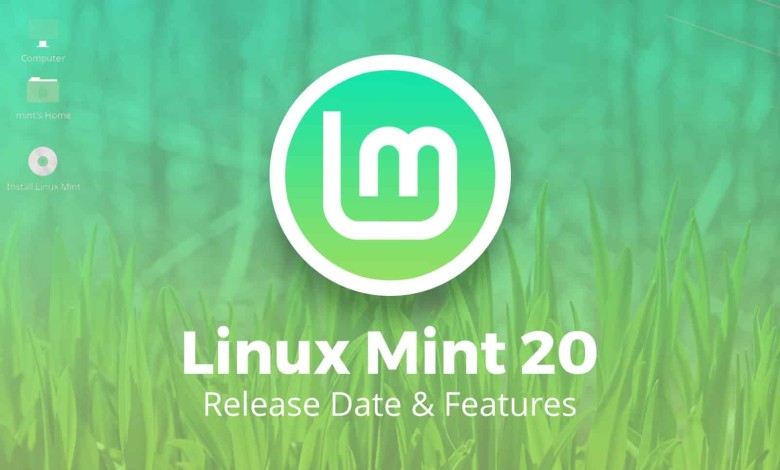 linux mint 20