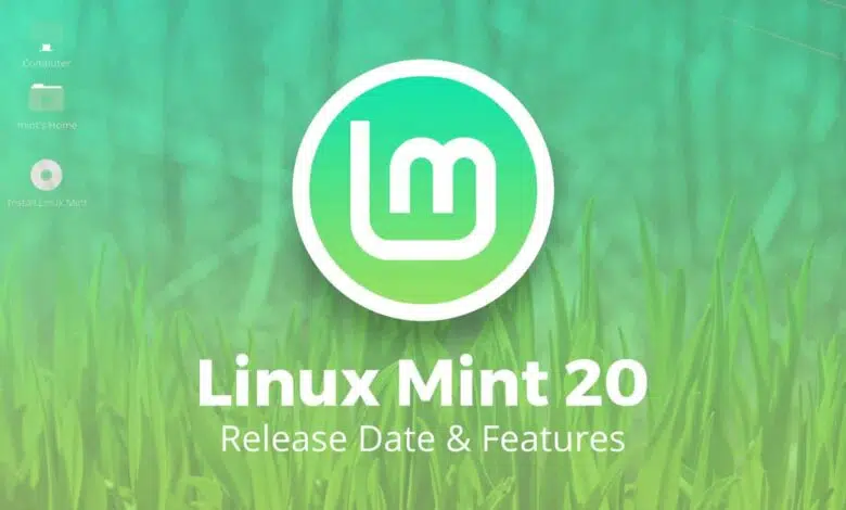 linux mint 20