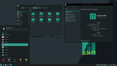 manjaro 20.0.3