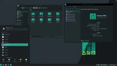 manjaro 20.0.3