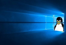 microsoft-windows-10-linux-wsl