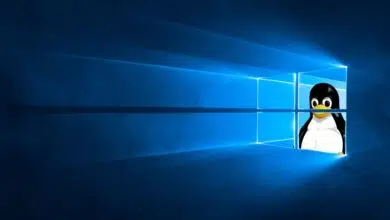 microsoft-windows-10-linux-wsl