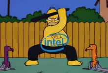 dia-del-apaleamiento-intel