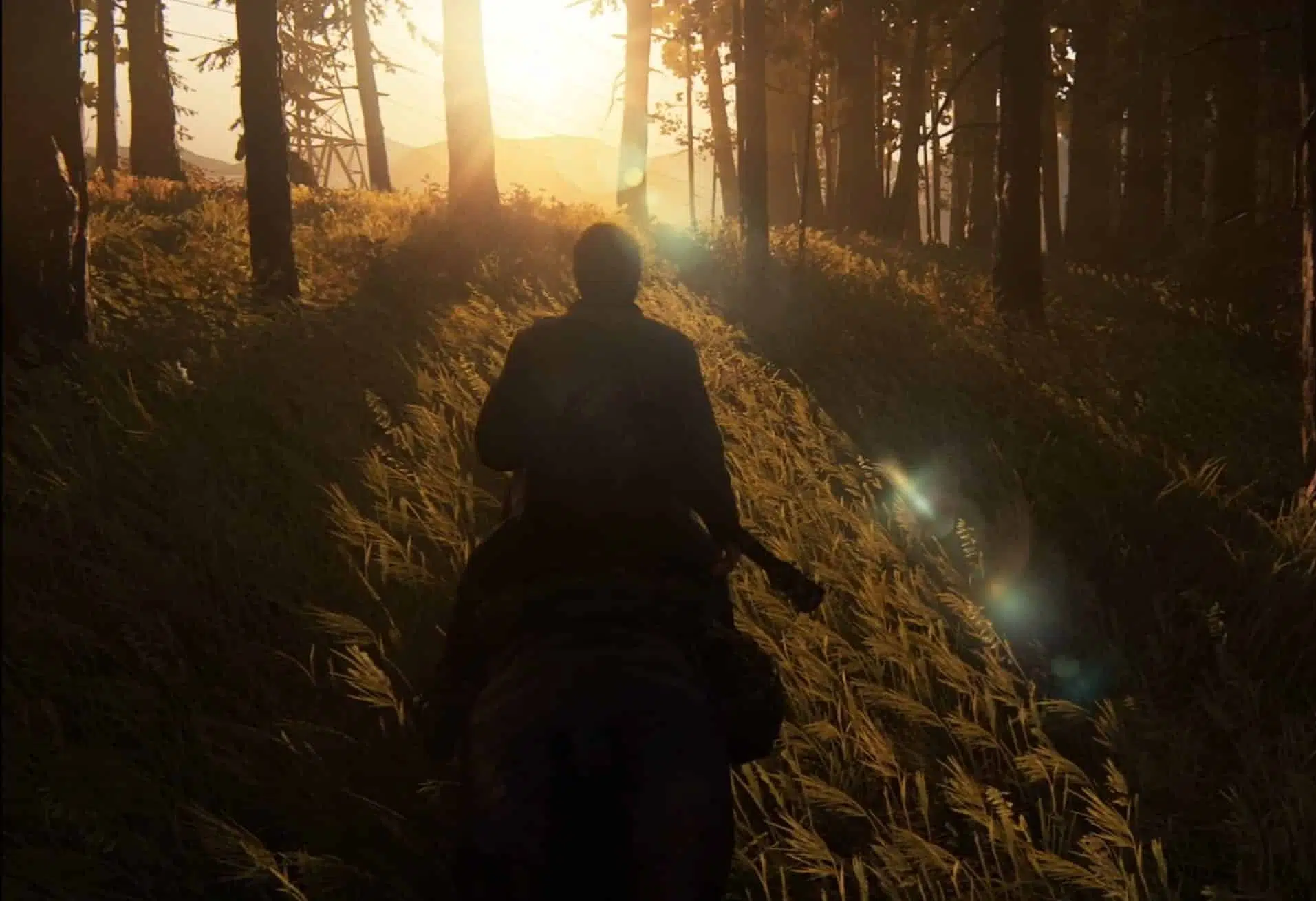 The Last of Us Joel