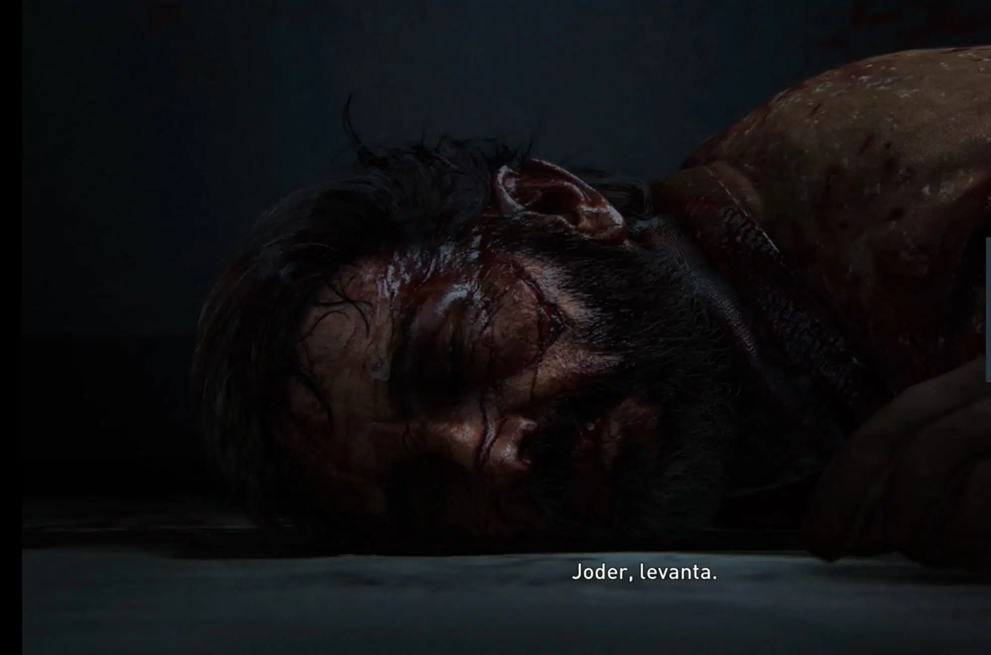 The Last of Us Joel