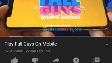 fall-guys-moviles-fall-guys-android-ios-iphone-ipad-ps4-pc