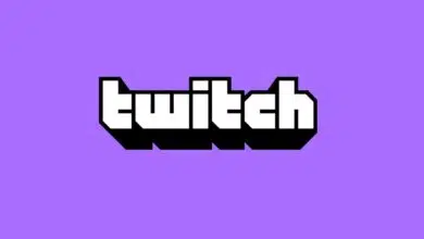 twitch-burger-king streamer xqc bots cuentas falsas bot precio suscripciones mexico españa turquía fallo de seguridad brecha