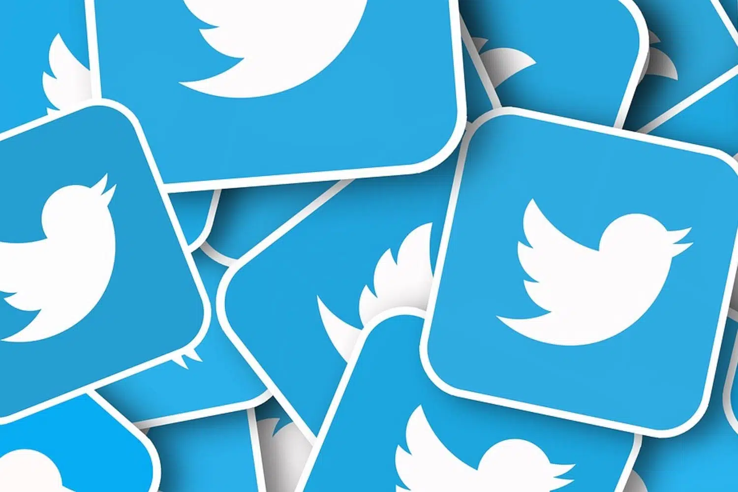 twitter-tiktok-rt-retweet-boton pronombres perfiles
