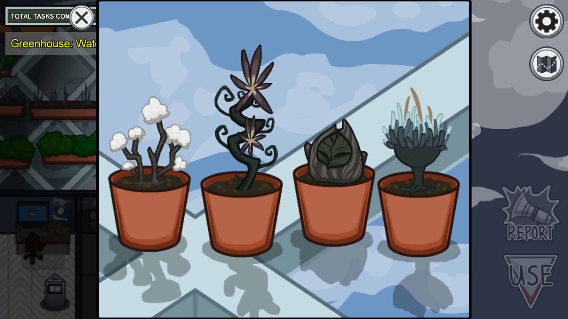 regar-plantas