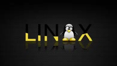 sistema operativo linux ransomware