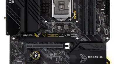 placa base asus TUF Z590-Plus WiFi windows 11 tpm 2.0