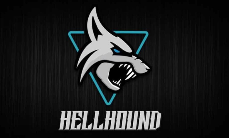 tarjeta grafoca powercolor hellhound