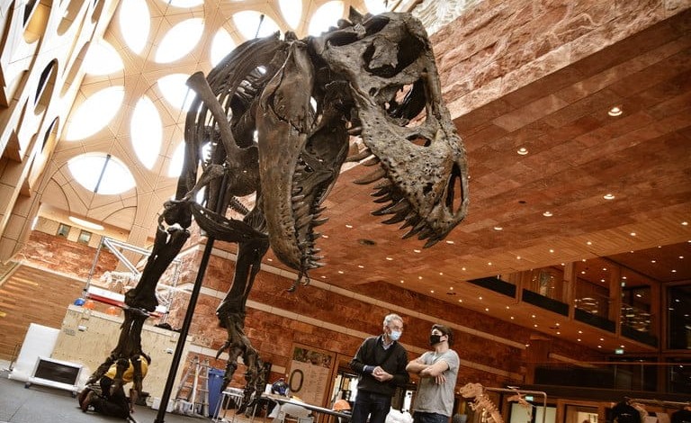 impresion 3d, impresoras 32d, imrpesion fósiles, impresion dinosaurios impresion 3d esqueleto trex t rex tinranosaurio tiranosaurus tiranosaurius