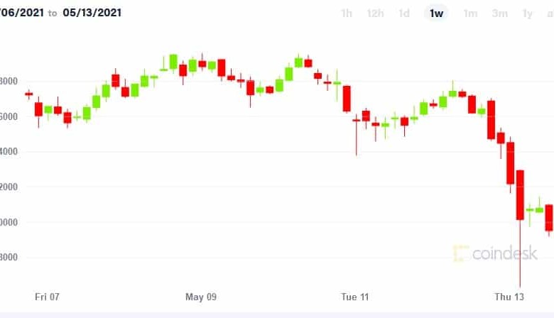 tweet elon musk hace caer valor bitcoin btc
