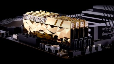05-royal-elite-silver-mb Trident Z Royal Elite memorias memoria ram