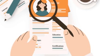 crear curriculum vitae buscar trabajo adaptado sector plantilla