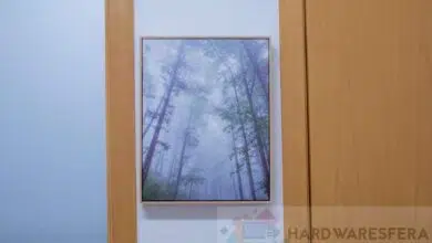 Energy Sistem Frame Forest