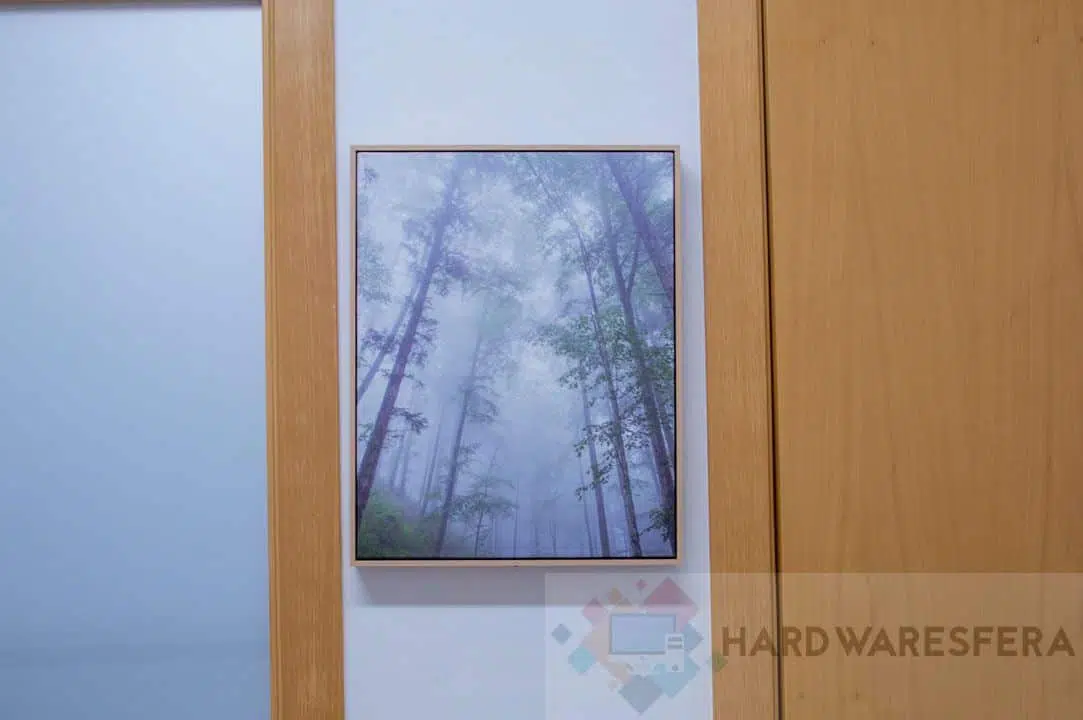 Energy Sistem Frame Forest
