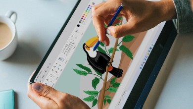 paint versión para windows 11 problemas fallos errores windows 11 aplicaciones integradas