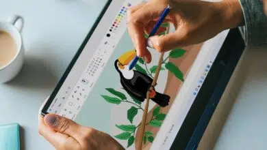 paint versión para windows 11 problemas fallos errores windows 11 aplicaciones integradas
