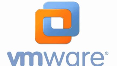 CVE-2021-22005 vmware