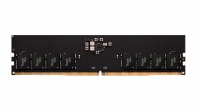 TEAMGROUP ELITE U-DIMM DDR5 5600MHz