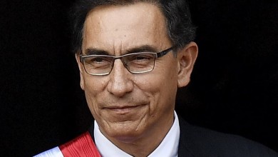 martin vizcarra mi bebito fiu fiuu fiuuu cancion meme expresidente presidente peru