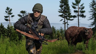 dayz-1.21